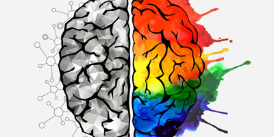 Denkst du eher mit der rechten oder linken Gehirnhälfte?