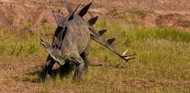 Wer weiß, wie der Name dieses Dinos lautet?