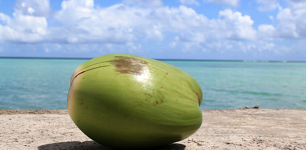 Wie heißt diese Frucht?