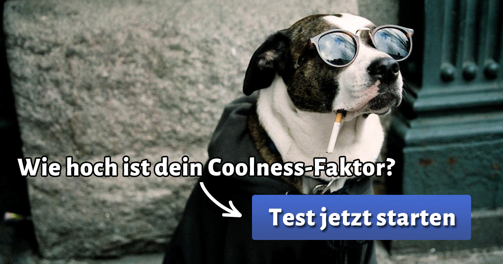 ᐅ Wie hoch ist dein CoolnessFaktor?