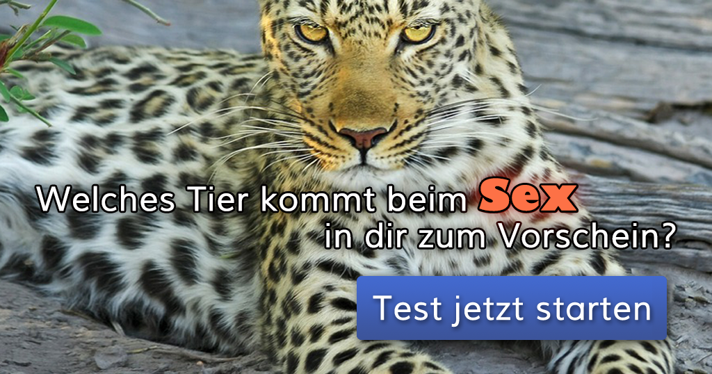 Sex mit tieren geiler Fick Mit