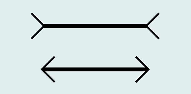 Welche Linie, die Pfeilspitzen ausgenommen, ist länger?