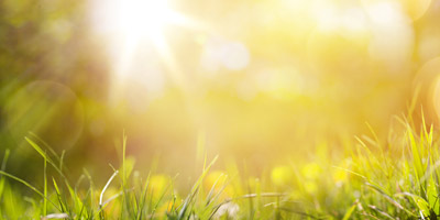 Bist du bereit für den Sommer?