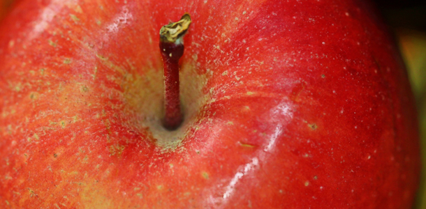 Natürlich! Ein Apfel!