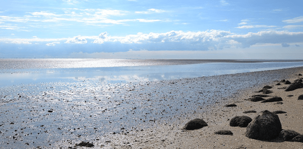 Wo findet man das sogenannte Wattenmeer?