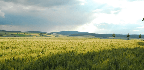 Die Rhön ist ein etwa 1500 km² großes Mittelgebirge im Grenzgebiet der Bundesänder ...?