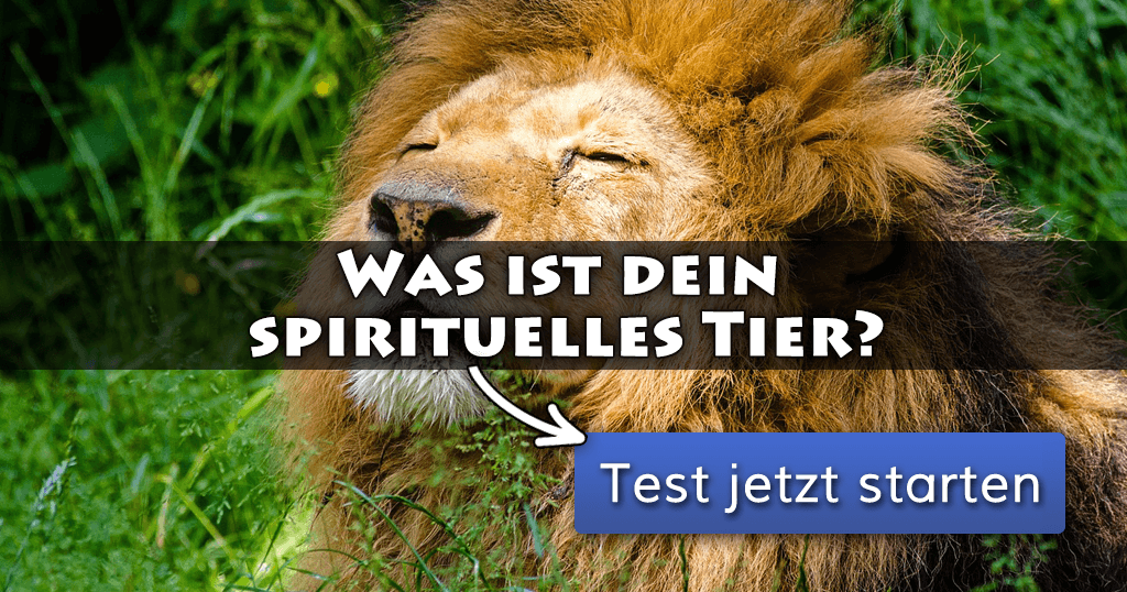 ᐅ Was ist dein spirituelles Tier?