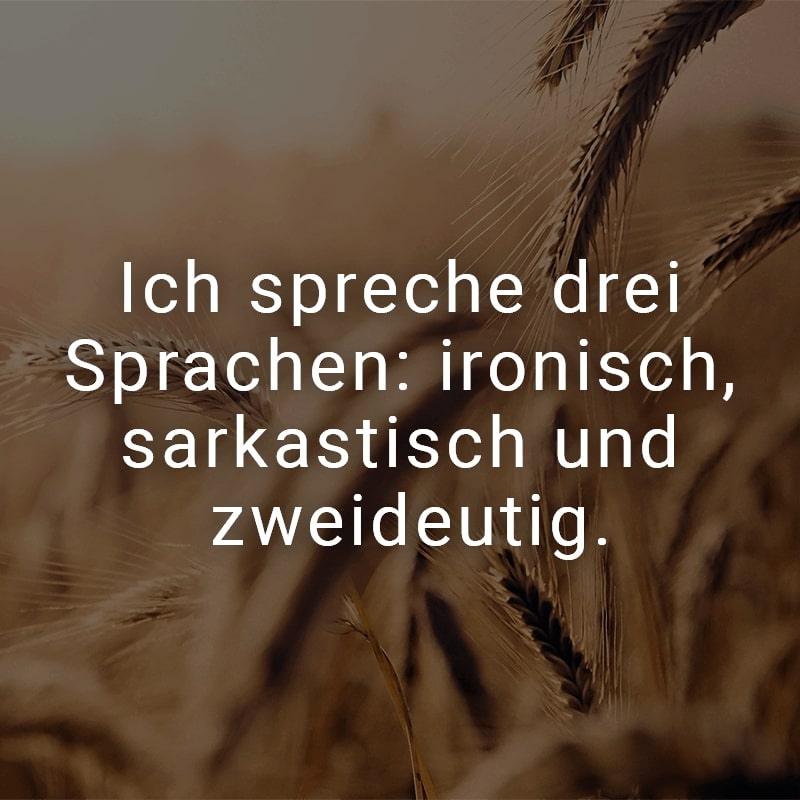 Ich spreche drei Sprachen: ironisch, sarkastisch und zweideutig.