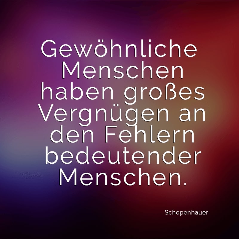 Gewöhnliche Menschen haben großes Vergnügen an den Fehlern bedeutender Menschen.
(Schopenhauer)