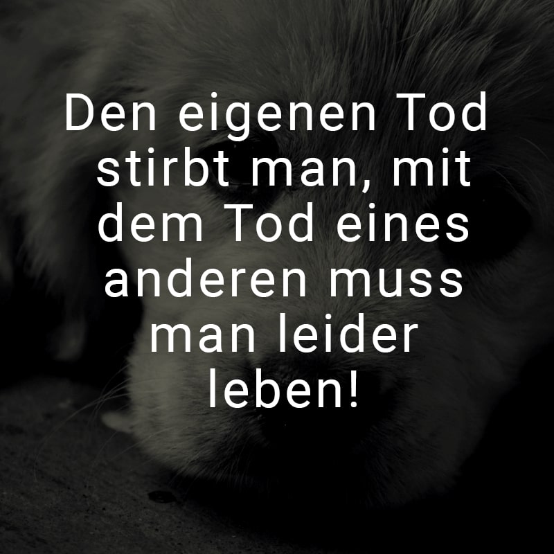 Den eigenen Tod stirbt man, mit dem Tod eines anderen muss man leider leben!