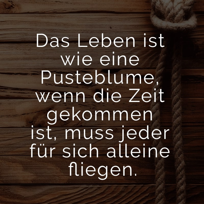 Das Leben ist wie eine Pusteblume, wenn die Zeit gekommen ist, muss jeder für sich alleine fliegen.