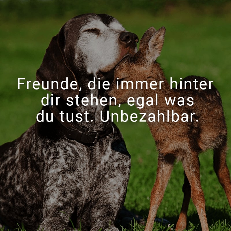 Freunde, die immer hinter dir stehen, egal was du tust. Unbezahlbar.