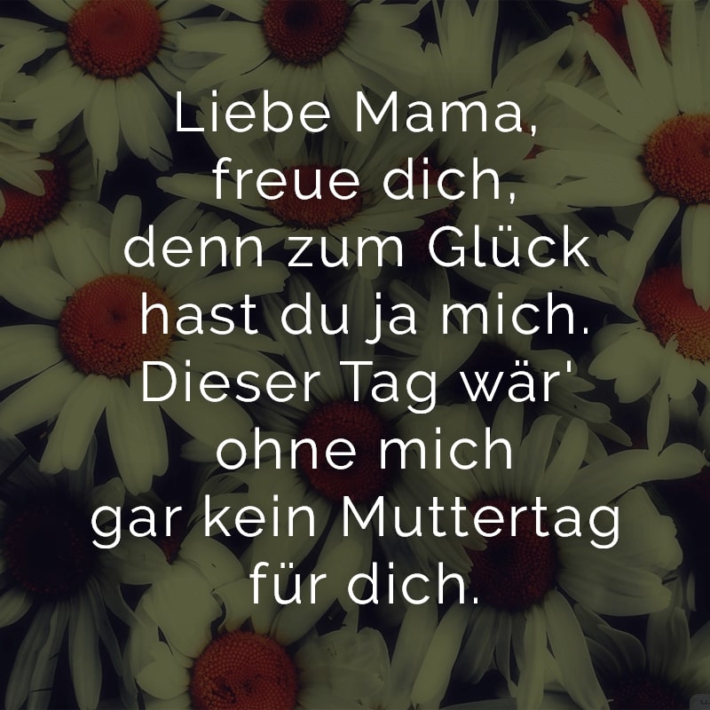 Liebe Mama, freue dich,
denn zum Glück hast du ja mich.
Dieser Tag wär' ohne mich
gar kein Muttertag für dich.