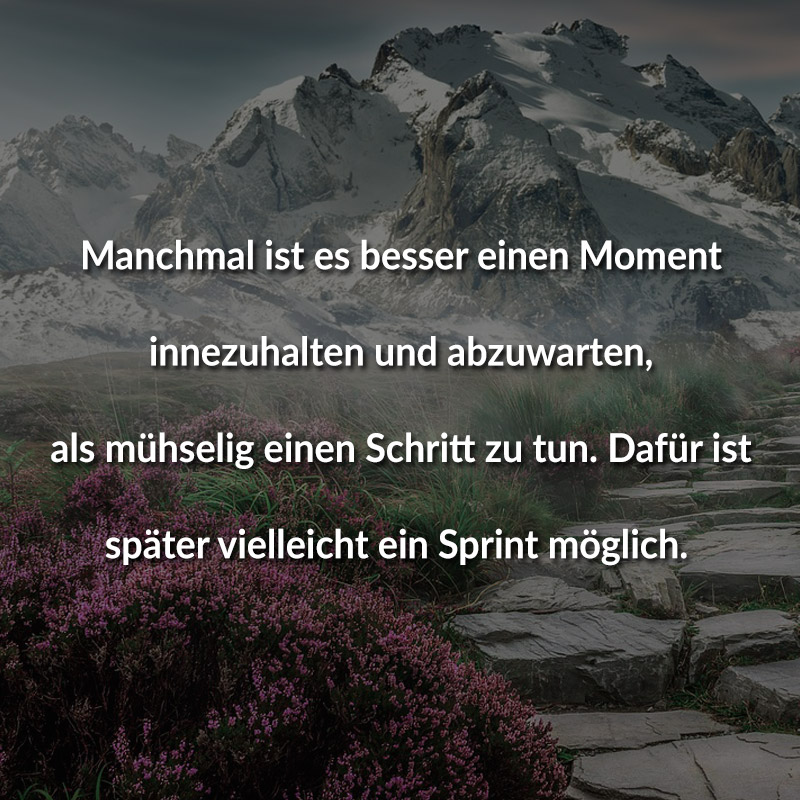 Manchmal ist es besser einen Moment innezuhalten und abzuwarten, als mühselig einen Schritt zu tun. Dafür ist später vielleicht ein Sprint möglich.