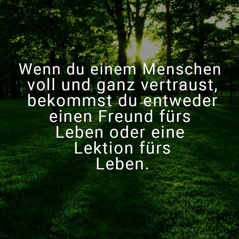 Wenn du einem Menschen voll und ganz vertraust, bekommst du entweder einen Freund fürs Leben oder eine Lektion fürs Leben.