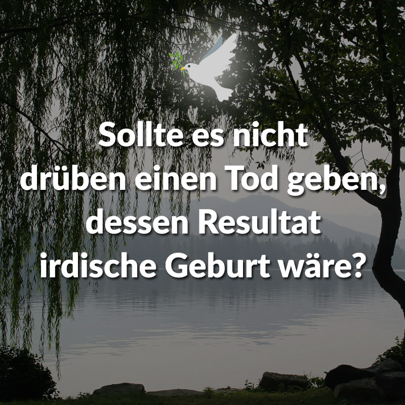 Sollte es nicht drüben einen Tod geben, dessen Resultat irdische Geburt wäre?