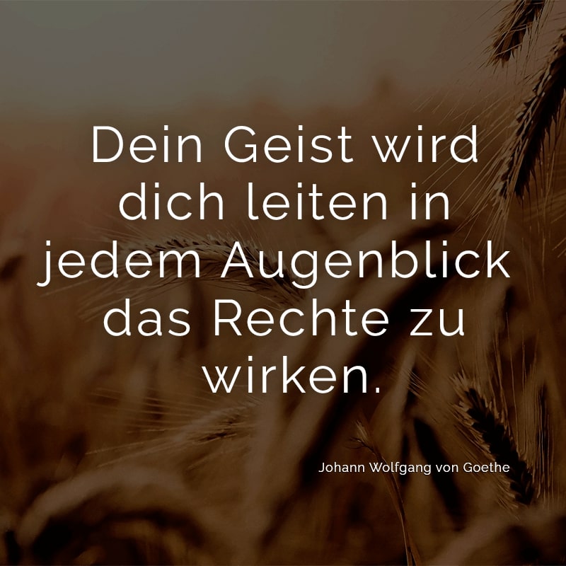 Dein Geist wird dich leiten in jedem Augenblick das Rechte zu wirken.
(Johann Wolfgang von Goethe)