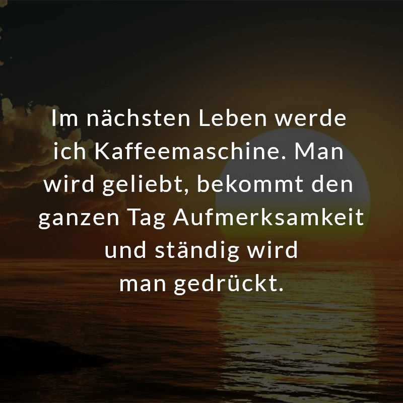 Im nächsten Leben werde ich Kaffeemaschine. Man wird geliebt, bekommt den ganzen Tag Aufmerksamkeit und ständig wird man gedrückt.