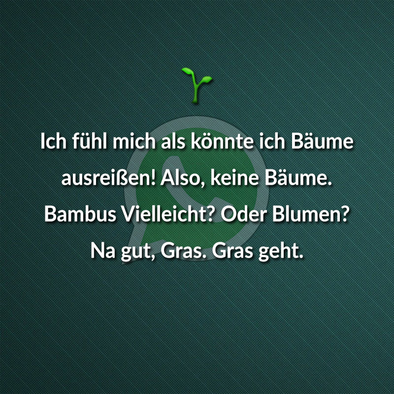 Ich fühl mich als könnte ich Bäume ausreißen! Also, keine Bäume. Bambus Vielleicht? Oder Blumen? Na gut, Gras. Gras geht.