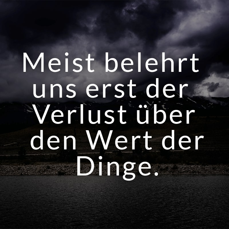 Meist belehrt uns erst der Verlust über den Wert der Dinge.