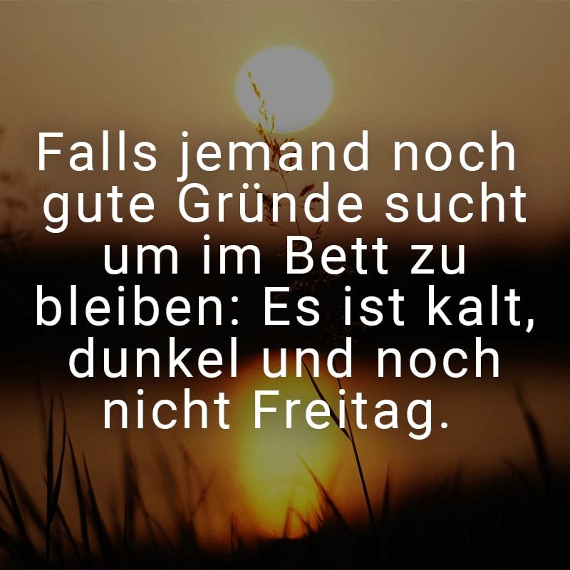 Falls jemand noch gute Gründe sucht um im Bett zu bleiben: Es ist kalt, dunkel und noch nicht Freitag.