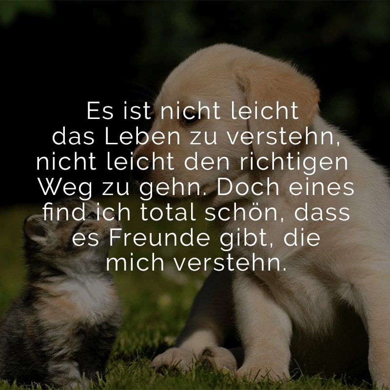 Es ist nicht leicht das Leben zu verstehn,
nicht leicht den richtigen Weg zu gehn.
Doch eines find ich total schön,
dass es Freunde gibt, die mich verstehn.