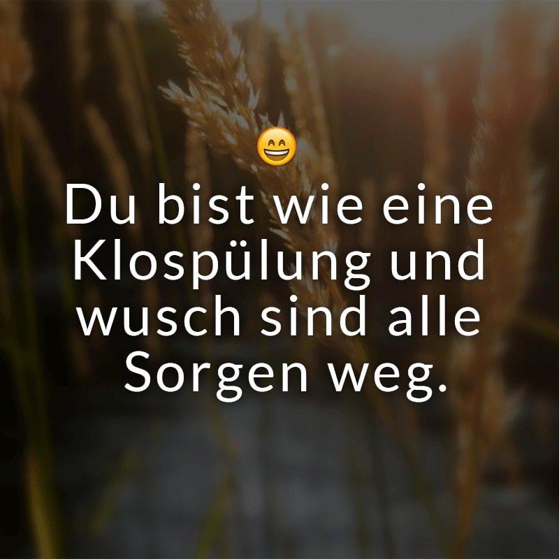 Du bist wie eine Klospülung und wusch sind alle Sorgen weg.