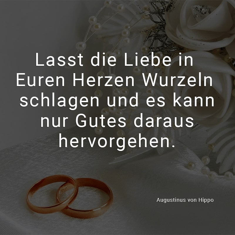 Lasst die Liebe in Euren Herzen Wurzeln schlagen und es kann nur Gutes daraus hervorgehen.
(Augustinus von Hippo)