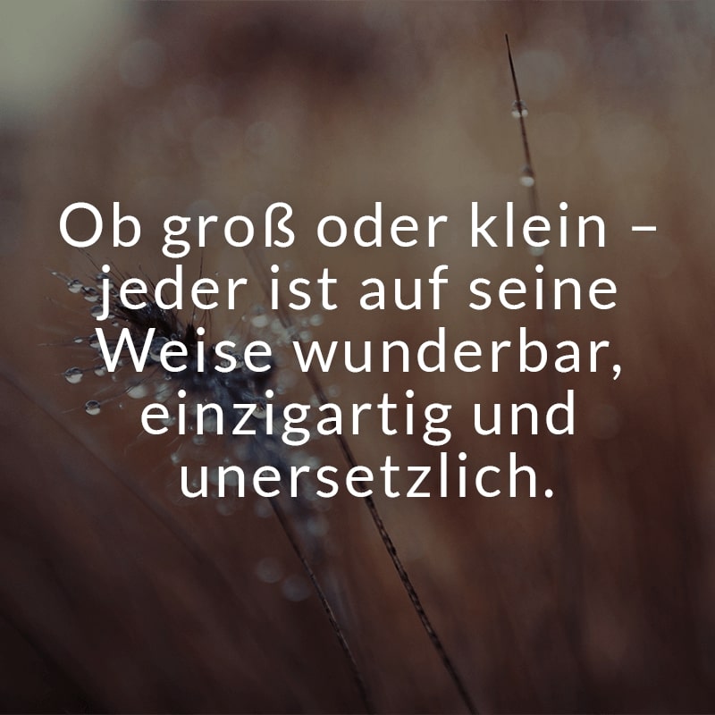 Ob groß oder klein - jeder ist auf seine Weise wunderbar, einzigartig und unersetzlich.