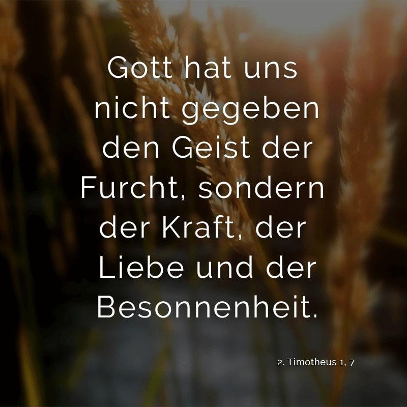 Gott hat uns nicht gegeben den Geist der Furcht, sondern der Kraft, der Liebe und der Besonnenheit.
(2. Timotheus 1, 7)