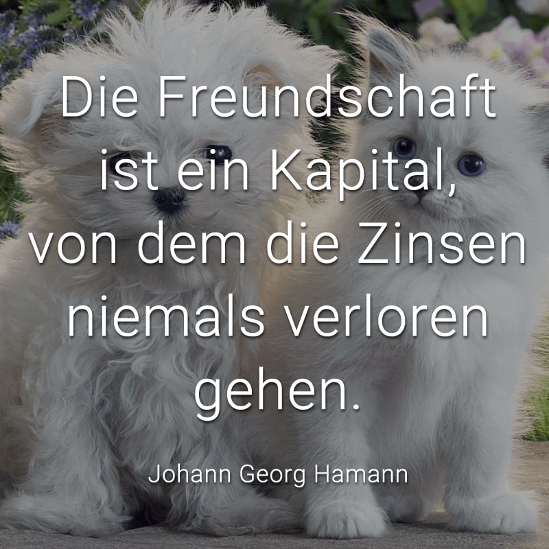 Die Freundschaft ist ein Kapital, von dem die Zinsen niemals verloren gehen.
(Johann Georg Hamann)