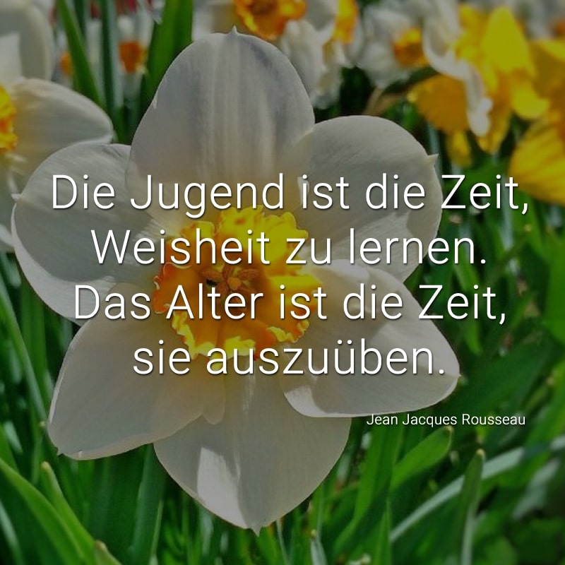 Die Jugend ist die Zeit, Weisheit zu lernen.
Das Alter ist die Zeit, sie auszuüben.
(Jean Jacques Rousseau)