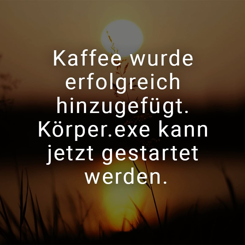 Kaffee wurde erfolgreich hinzugefügt. Körper.exe kann jetzt gestartet werden.