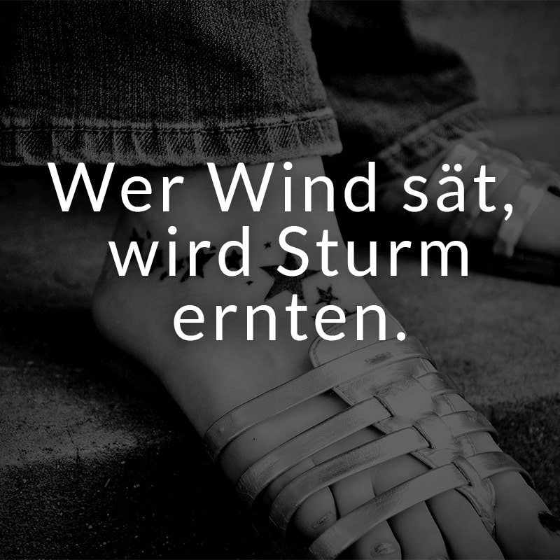 Wer Wind sät, wird Sturm ernten.