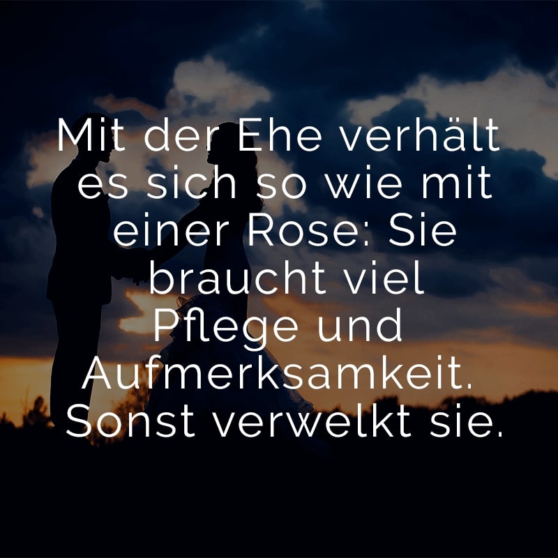 Mit der Ehe verhält es sich so wie mit einer Rose: Sie braucht viel Pflege und Aufmerksamkeit. Sonst verwelkt sie.