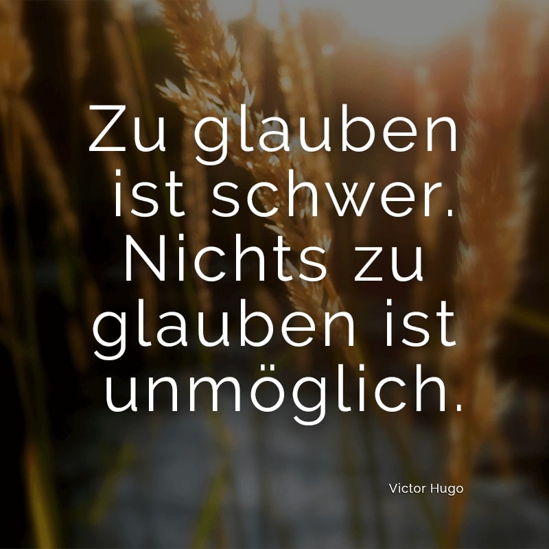 Zu glauben ist schwer. Nichts zu glauben ist unmöglich.
(Victor Hugo)