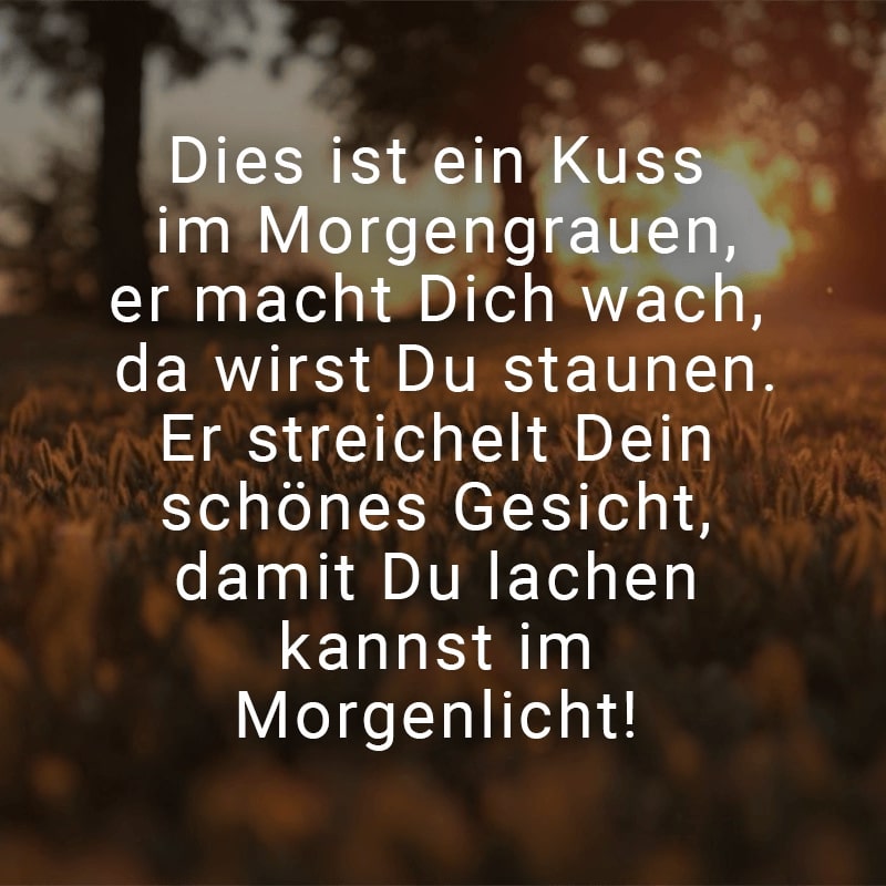 Dies ist ein Kuss im Morgengrauen,
er macht Dich wach, da wirst Du staunen.
Er streichelt Dein schönes Gesicht, 
damit Du lachen kannst im Morgenlicht!