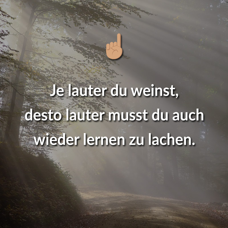 Je lauter du weinst, desto lauter musst du auch wieder lernen zu lachen.