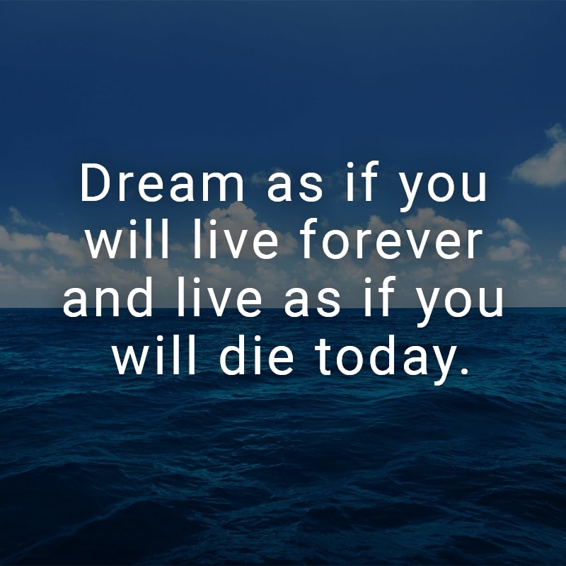 Dream as if you will live forever and live as if you will die today.