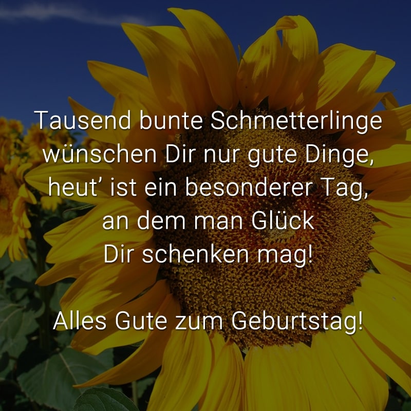 Tausend bunte Schmetterlinge
wünschen Dir nur gute Dinge,
heut' ist ein besonderer Tag,
an dem man Glück Dir schenken mag!

Alles Gute zum Geburtstag!