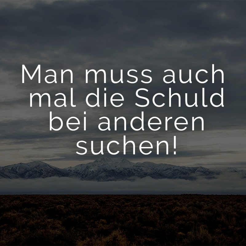 Man muss auch mal die Schuld bei anderen suchen!