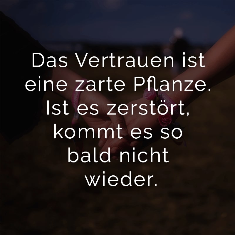 Das Vertrauen ist eine zarte Pflanze. Ist es zerstört, kommt es so bald nicht wieder.