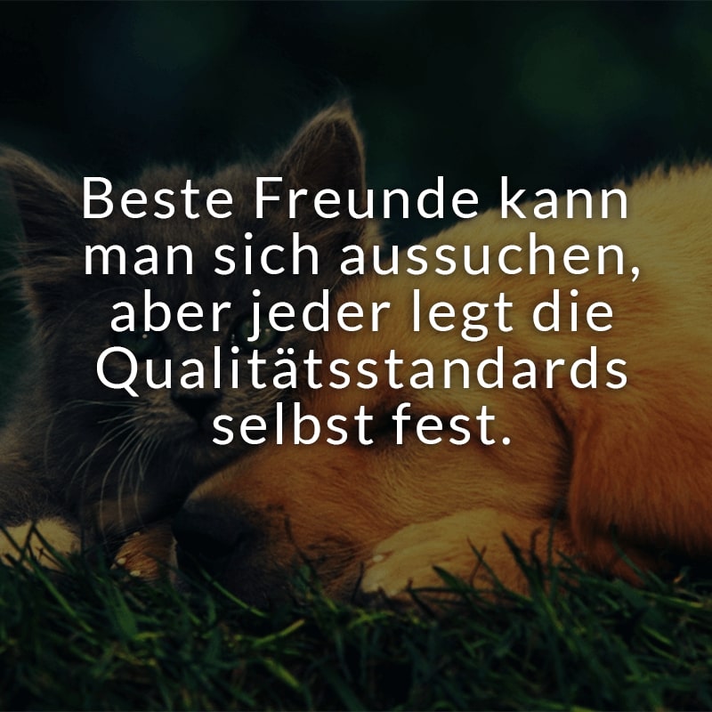 Beste Freunde kann man sich aussuchen, aber jeder legt die Qualitätsstandards selbst fest.