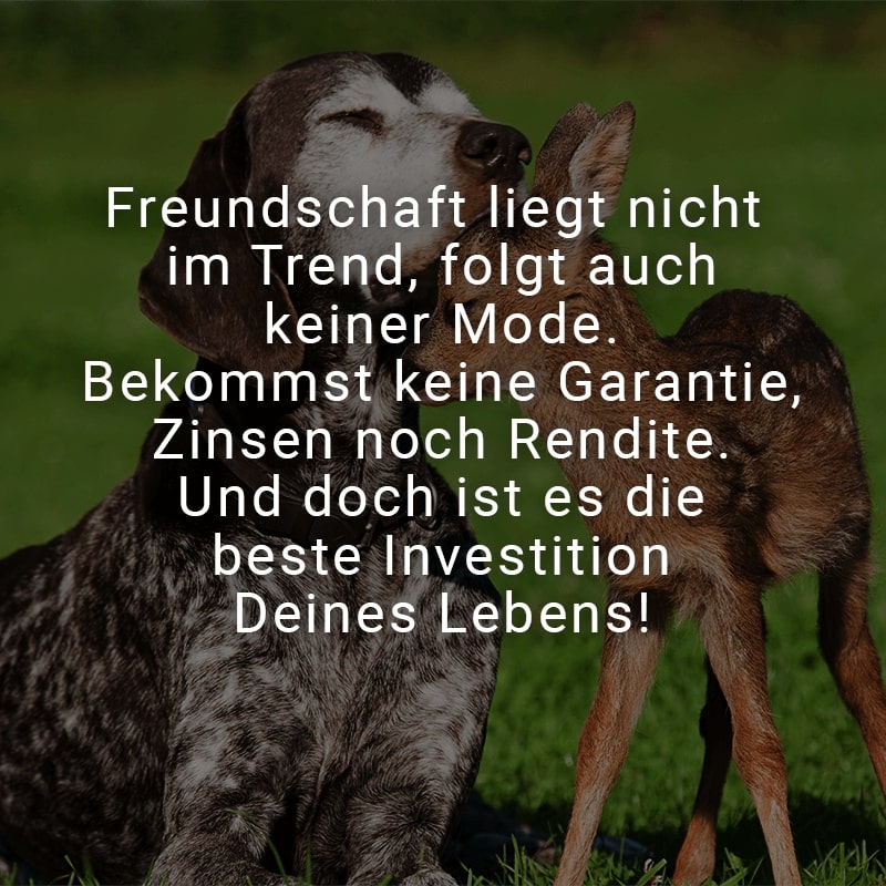 Freundschaft liegt nicht im Trend, folgt auch keiner Mode. Bekommst keine Garantie, Zinsen noch Rendite. Und doch ist es die beste Investition Deines Lebens!