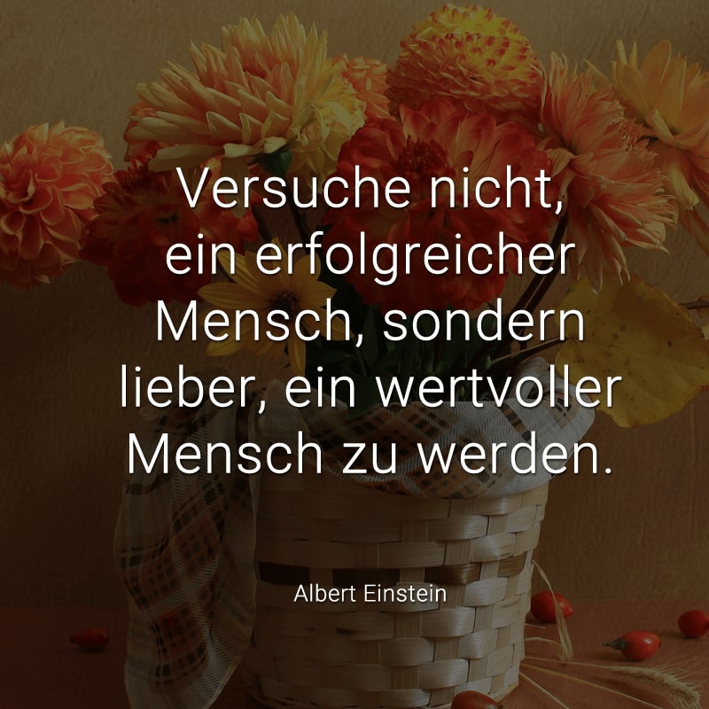 Versuche nicht, ein erfolgreicher Mensch, sondern lieber, ein wertvoller Mensch zu werden.
(Albert Einstein)