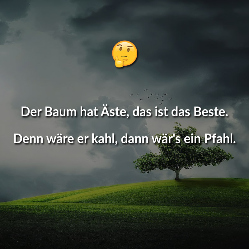 Der Baum hat Äste, das ist das Beste. Denn wäre er kahl, dann wär's ein Pfahl.