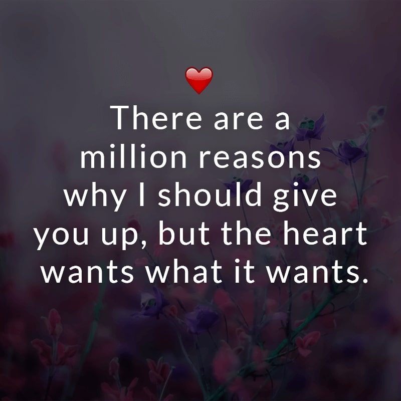 There are a million reasons why I should give you up, but the heart wants what it wants.