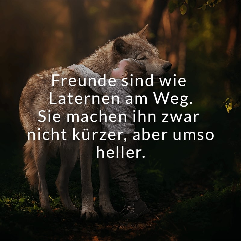 Freunde sind wie Laternen am Weg. Sie machen ihn zwar nicht kürzer, aber umso heller.