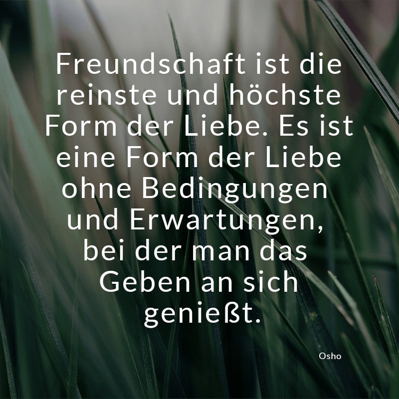 Freundschaft ist die reinste und höchste Form der Liebe. Es ist eine Form der Liebe ohne Bedingungen und Erwartungen, bei der man das Geben an sich genießt.
(Osho)