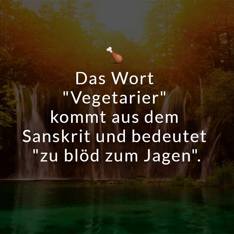 Das Wort 